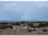 image00401